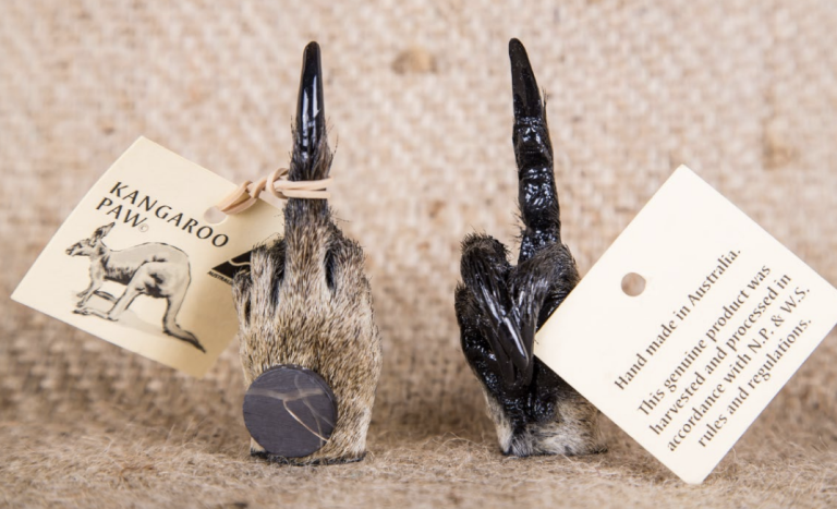 Photo os the Samos Kangaroo Paw Finger Salute Fridge Magnet product